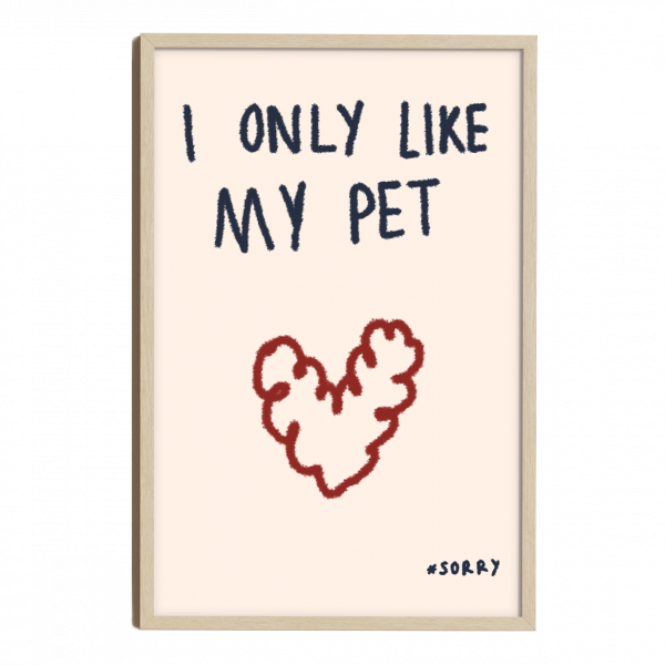 I like my pet